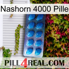 Rhino 4000 Pill viagra1